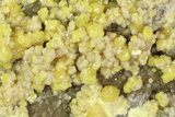 Sparkling Sulfur & Calcite Crystals - Poland #79234-1